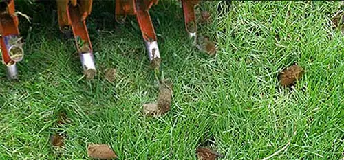 Core aeration is being performed on this Leominster lawn.