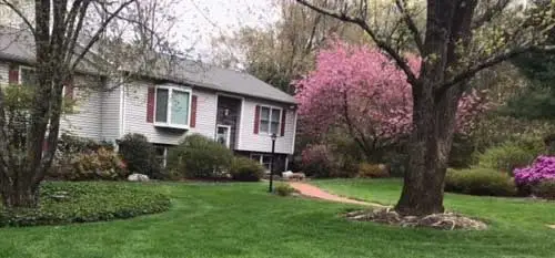 This home in Leominster uses our insect and disease control services.