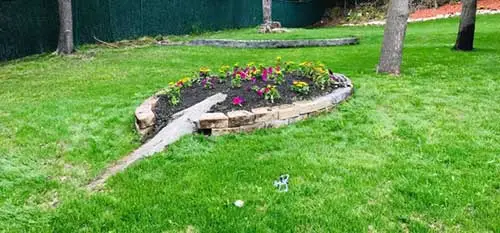 This landscaping bed in Concord, MA is weed free thanks to our weed control services.