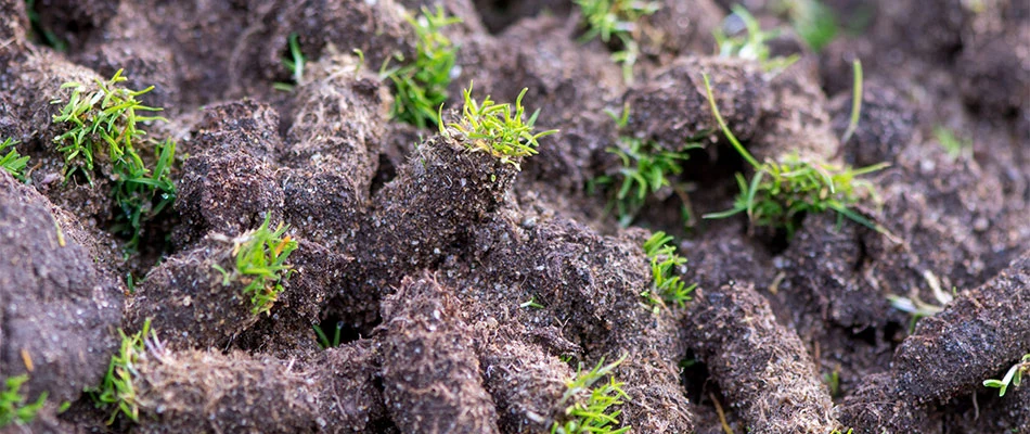 How Your Lawn Benefits from Core Aeration