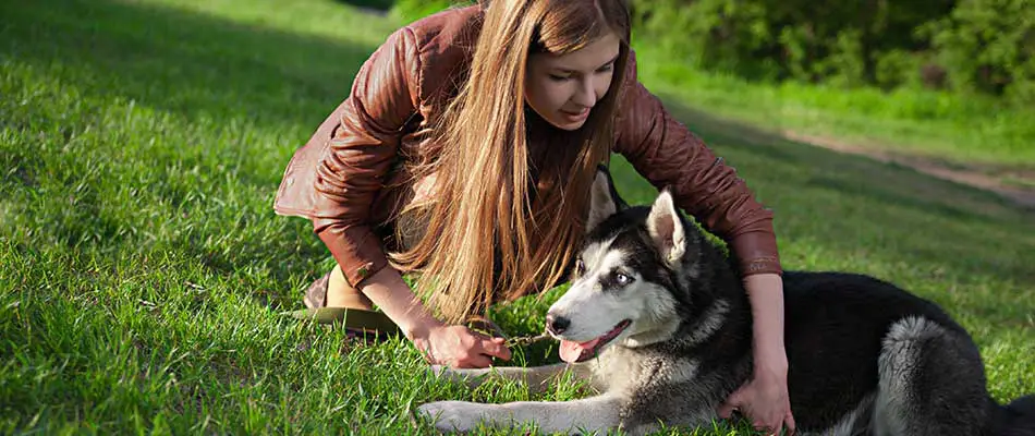 A girl and dog play in a healthy lawn in Lunenburg, MA.