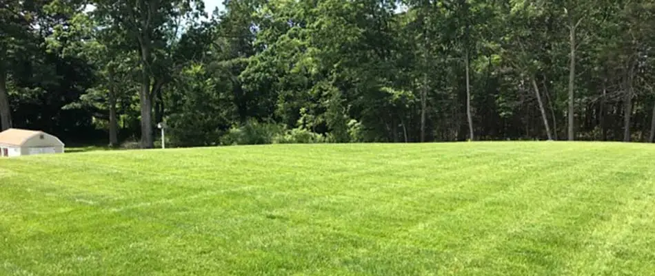 Reasons to Start Planning Your Lawn Care Schedule in the Winter