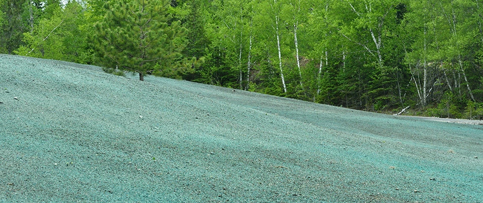 A landscape with fresh hydroseeding.
