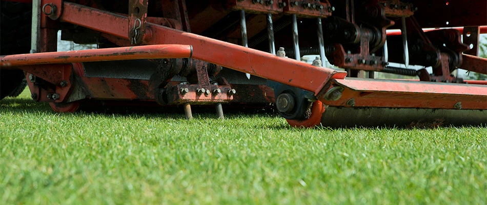 Lawn aeration machine in a Lunenburg, MA lawn.
