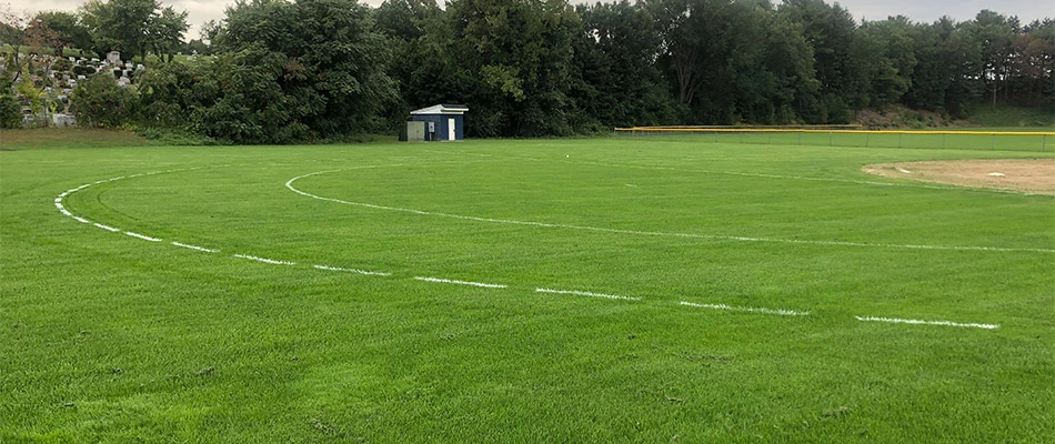 Beautiful green grass lawn after a fertilization treatment in Westford, MA.