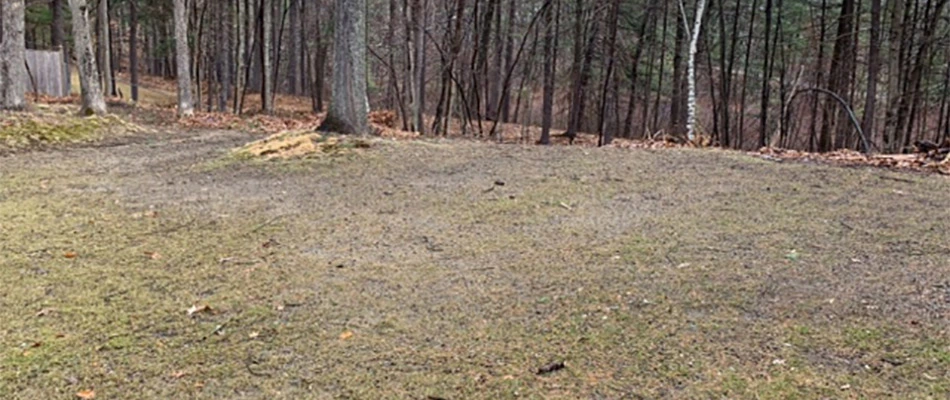 We offer seeding services for lawns in the areas surrounding Lunenburg, MA.